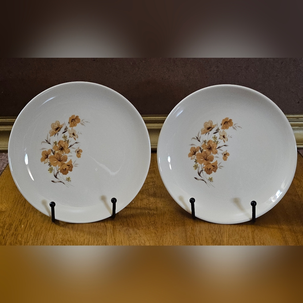 Set of 2 Taylor Smith & Taylor "Wood Rose" Bread & Butter Plates 6.75"W MCM 1961